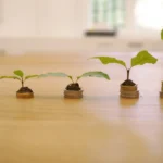 Taux immobilier 2026 : faut-il emprunter maintenant ?